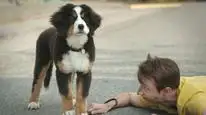 Tập 03 Super PupZ: Những chú cún siêu năng