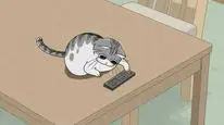 Tập 4 Nights with a Cat