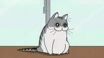 Tập 8 Nights with a Cat