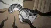 Tập 27 Nights with a Cat