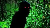 Tập Full Uncle Boonmee Who Can Recall His Past Lives