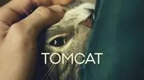 Tập Full Kater