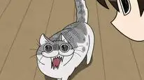 Tập 3 Nights with a Cat