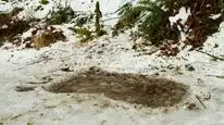 Tập Full Bigfoot: Máu Trên Nông Trại
