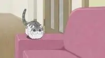 Tập 29 Nights with a Cat