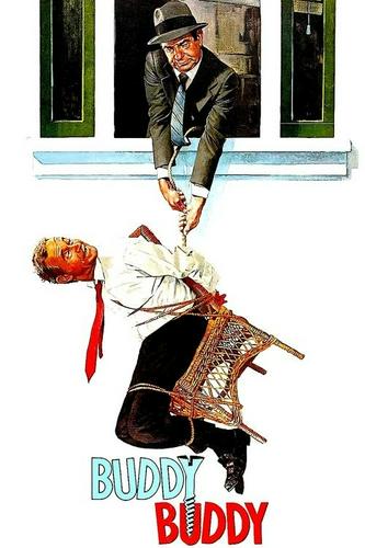 Bạn Hữu Hài Hước